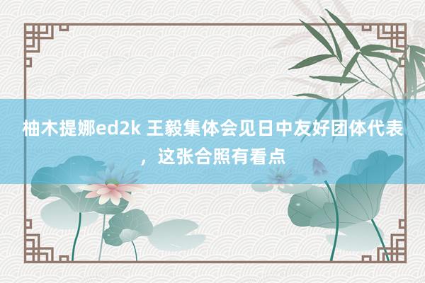 柚木提娜ed2k 王毅集体会见日中友好团体代表，这张合照有看点