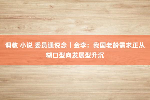 调教 小说 委员通说念丨金李：我国老龄需求正从糊口型向发展型升沉