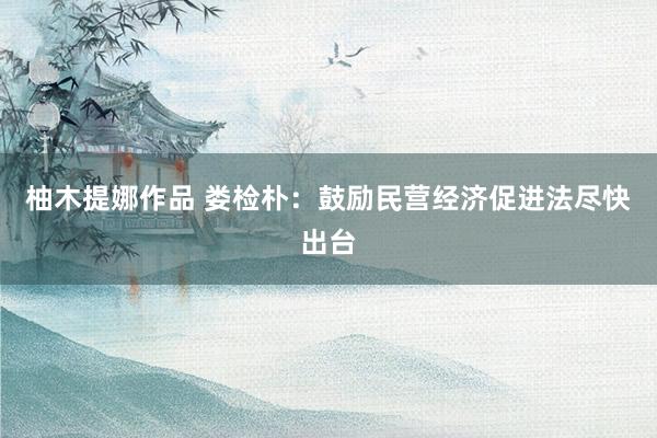柚木提娜作品 娄检朴：鼓励民营经济促进法尽快出台