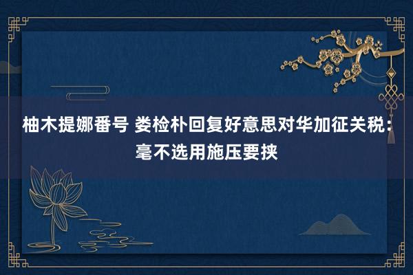 柚木提娜番号 娄检朴回复好意思对华加征关税：毫不选用施压要挟
