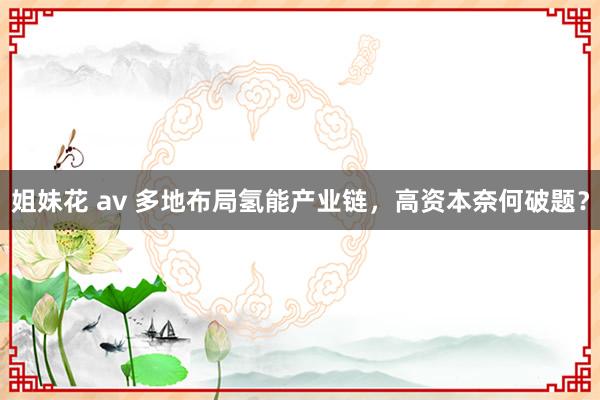 姐妹花 av 多地布局氢能产业链，高资本奈何破题？