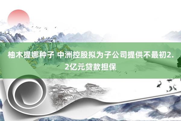 柚木提娜种子 中洲控股拟为子公司提供不最初2.2亿元贷款担保