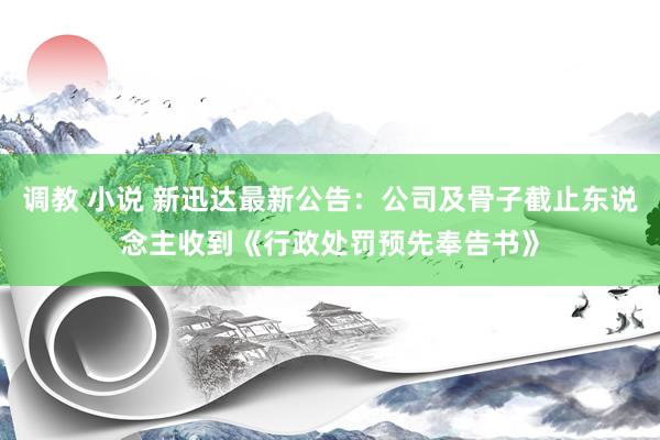 调教 小说 新迅达最新公告：公司及骨子截止东说念主收到《行政处罚预先奉告书》