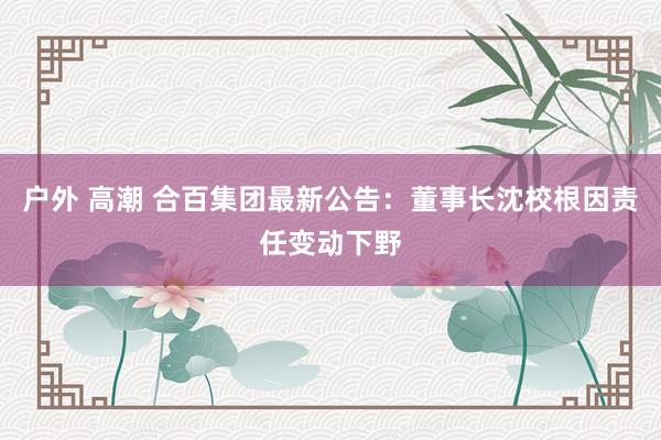 户外 高潮 合百集团最新公告：董事长沈校根因责任变动下野
