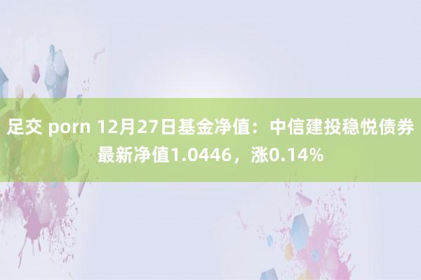 足交 porn 12月27日基金净值：中信建投稳悦债券最新净值1.0446，涨0.14%