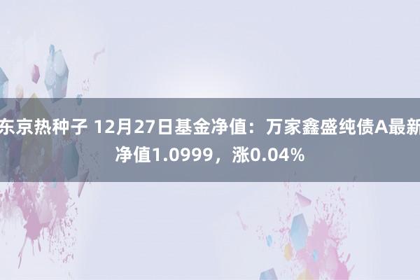 东京热种子 12月27日基金净值：万家鑫盛纯债A最新净值1.0999，涨0.04%