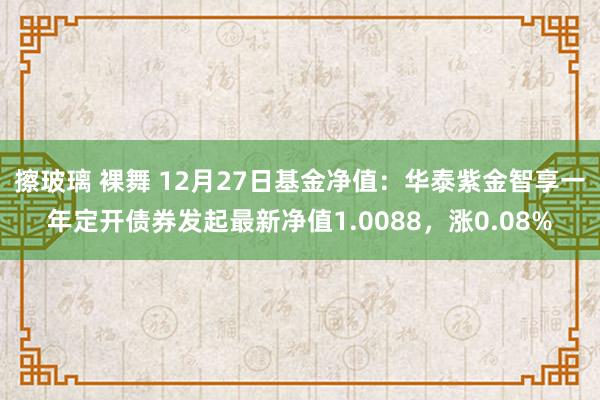 擦玻璃 裸舞 12月27日基金净值：华泰紫金智享一年定开债券发起最新净值1.0088，涨0.08%