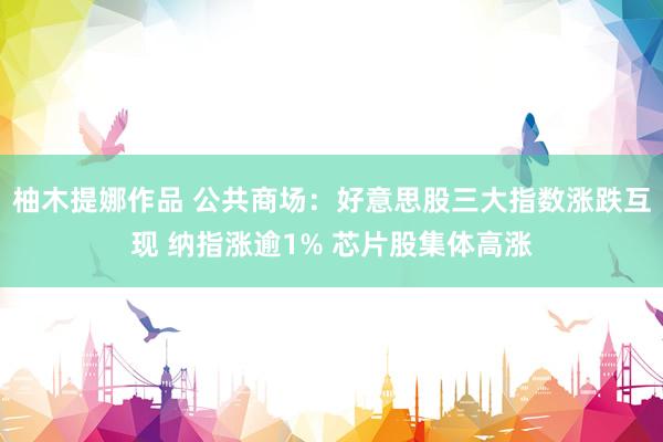 柚木提娜作品 公共商场：好意思股三大指数涨跌互现 纳指涨逾1% 芯片股集体高涨