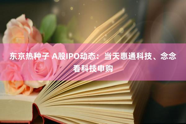 东京热种子 A股IPO动态：当天惠通科技、念念看科技申购