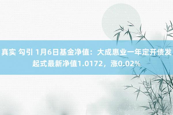 真实 勾引 1月6日基金净值：大成惠业一年定开债发起式最新净值1.0172，涨0.02%