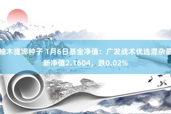 柚木提娜种子 1月6日基金净值：广发战术优选混杂最新净值2.1604，跌0.02%