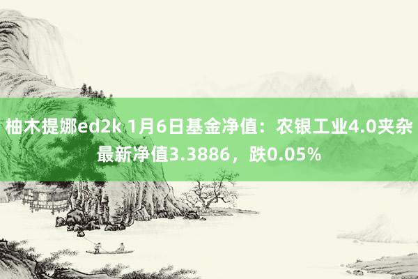 柚木提娜ed2k 1月6日基金净值：农银工业4.0夹杂最新净值3.3886，跌0.05%