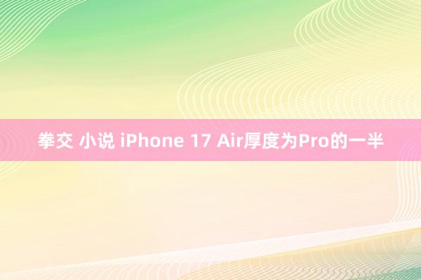 拳交 小说 iPhone 17 Air厚度为Pro的一半