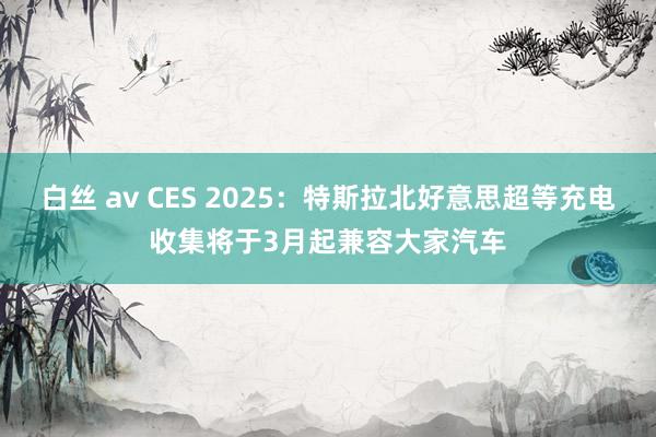 白丝 av CES 2025：特斯拉北好意思超等充电收集将于3月起兼容大家汽车