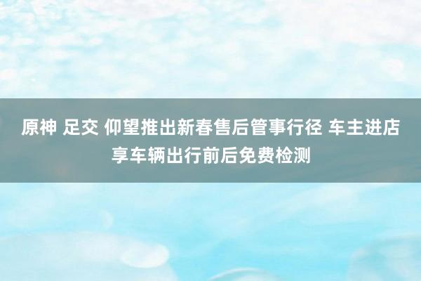 原神 足交 仰望推出新春售后管事行径 车主进店享车辆出行前后免费检测
