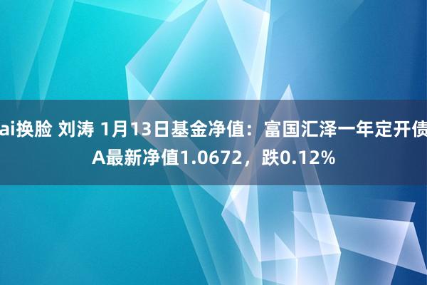 ai换脸 刘涛 1月13日基金净值：富国汇泽一年定开债A最新净值1.0672，跌0.12%