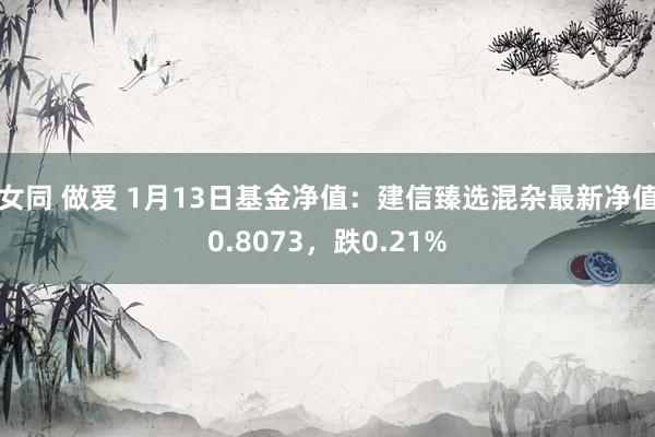 女同 做爱 1月13日基金净值：建信臻选混杂最新净值0.8073，跌0.21%