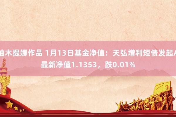 柚木提娜作品 1月13日基金净值：天弘增利短债发起A最新净值1.1353，跌0.01%
