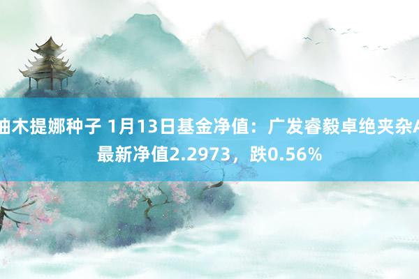 柚木提娜种子 1月13日基金净值：广发睿毅卓绝夹杂A最新净值2.2973，跌0.56%