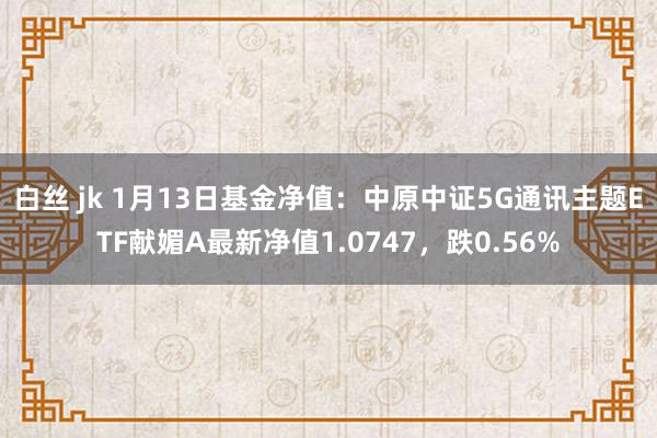 白丝 jk 1月13日基金净值：中原中证5G通讯主题ETF献媚A最新净值1.0747，跌0.56%