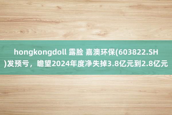 hongkongdoll 露脸 嘉澳环保(603822.SH)发预亏，瞻望2024年度净失掉3.8亿元到2.8亿元