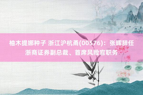 柚木提娜种子 浙江沪杭甬(00576)：张晖辞任浙商证券副总裁、首席风险官职务