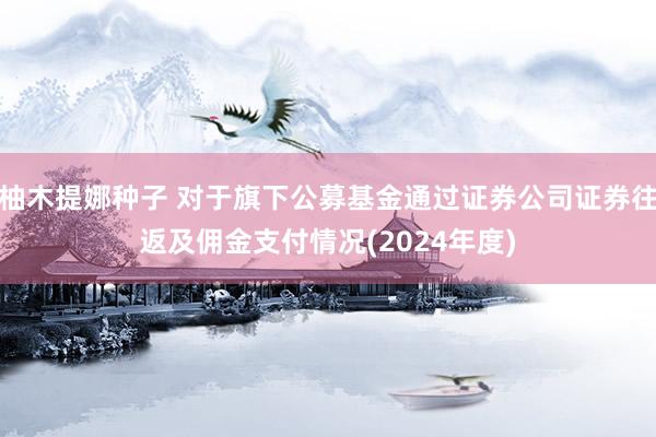柚木提娜种子 对于旗下公募基金通过证券公司证券往返及佣金支付情况(2024年度)