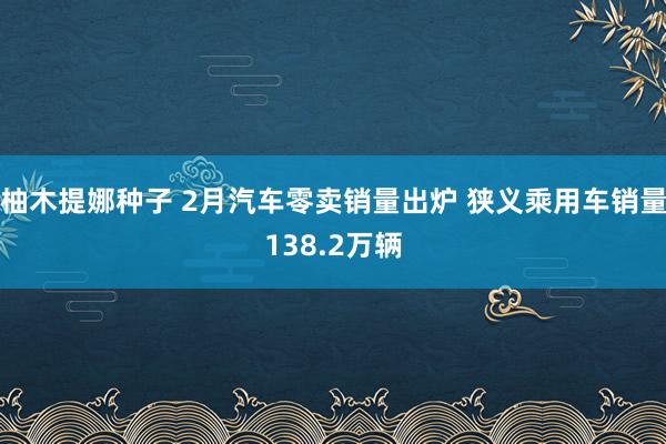 柚木提娜种子 2月汽车零卖销量出炉 狭义乘用车销量138.2万辆