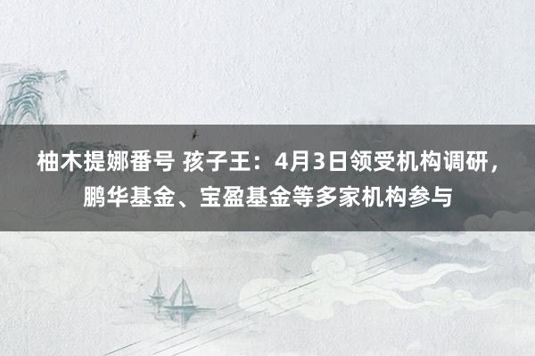 柚木提娜番号 孩子王：4月3日领受机构调研，鹏华基金、宝盈基金等多家机构参与