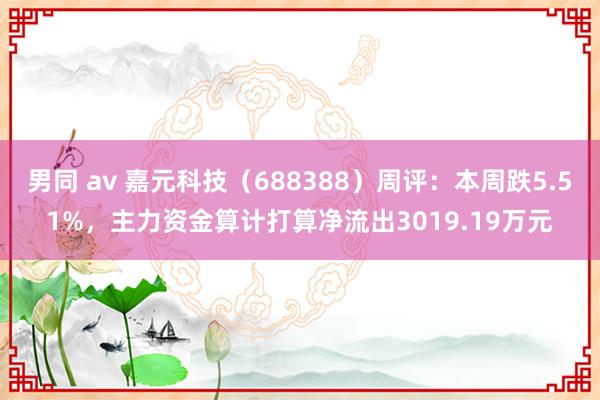 男同 av 嘉元科技（688388）周评：本周跌5.51%，主力资金算计打算净流出3019.19万元