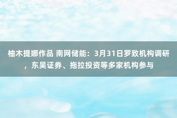 柚木提娜作品 南网储能：3月31日罗致机构调研，东吴证券、拖拉投资等多家机构参与