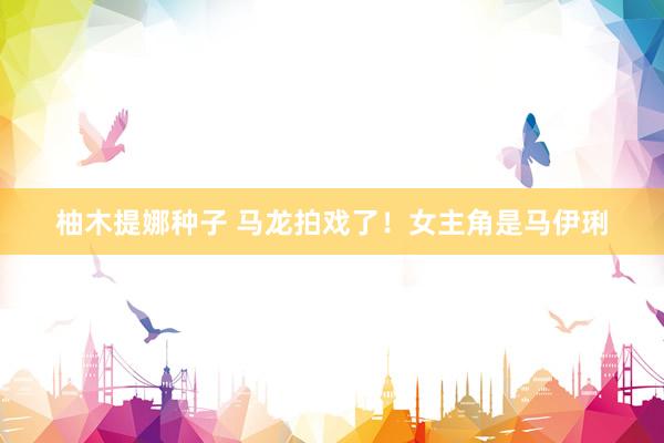 柚木提娜种子 马龙拍戏了！女主角是马伊琍