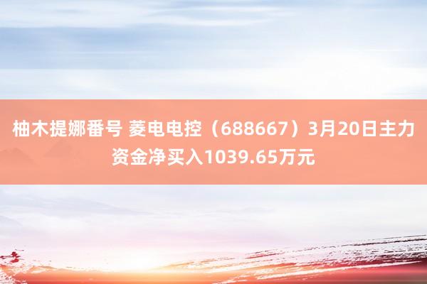 柚木提娜番号 菱电电控（688667）3月20日主力资金净买入1039.65万元