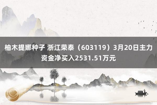 柚木提娜种子 浙江荣泰（603119）3月20日主力资金净买入2531.51万元