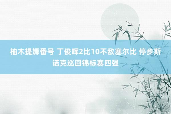 柚木提娜番号 丁俊晖2比10不敌塞尔比 停步斯诺克巡回锦标赛四强