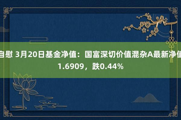 自慰 3月20日基金净值：国富深切价值混杂A最新净值1.6909，跌0.44%