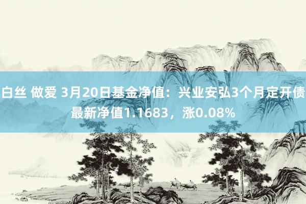 白丝 做爱 3月20日基金净值：兴业安弘3个月定开债最新净值1.1683，涨0.08%