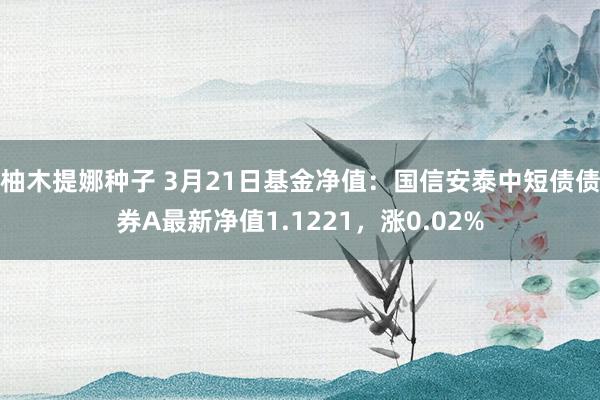 柚木提娜种子 3月21日基金净值：国信安泰中短债债券A最新净值1.1221，涨0.02%