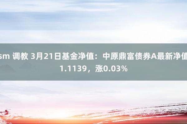 sm 调教 3月21日基金净值：中原鼎富债券A最新净值1.1139，涨0.03%