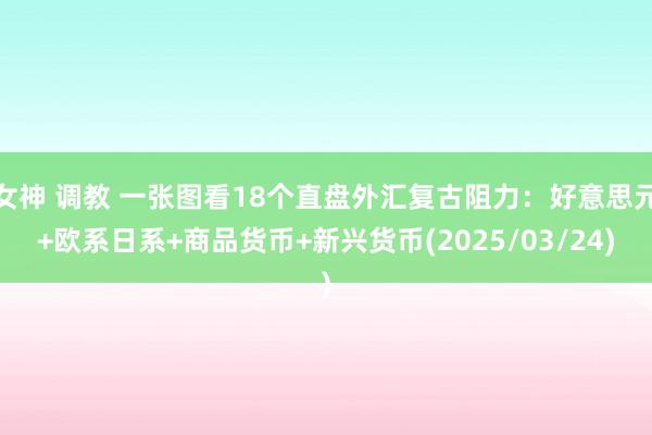 女神 调教 一张图看18个直盘外汇复古阻力：好意思元+欧系日系+商品货币+新兴货币(2025/03/24)