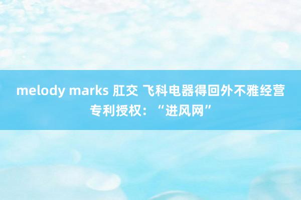 melody marks 肛交 飞科电器得回外不雅经营专利授权：“进风网”