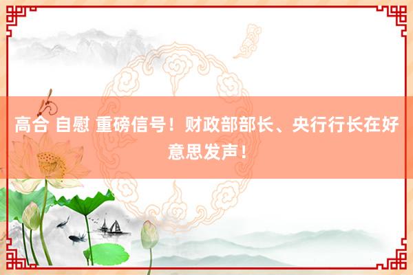 高合 自慰 重磅信号！财政部部长、央行行长在好意思发声！